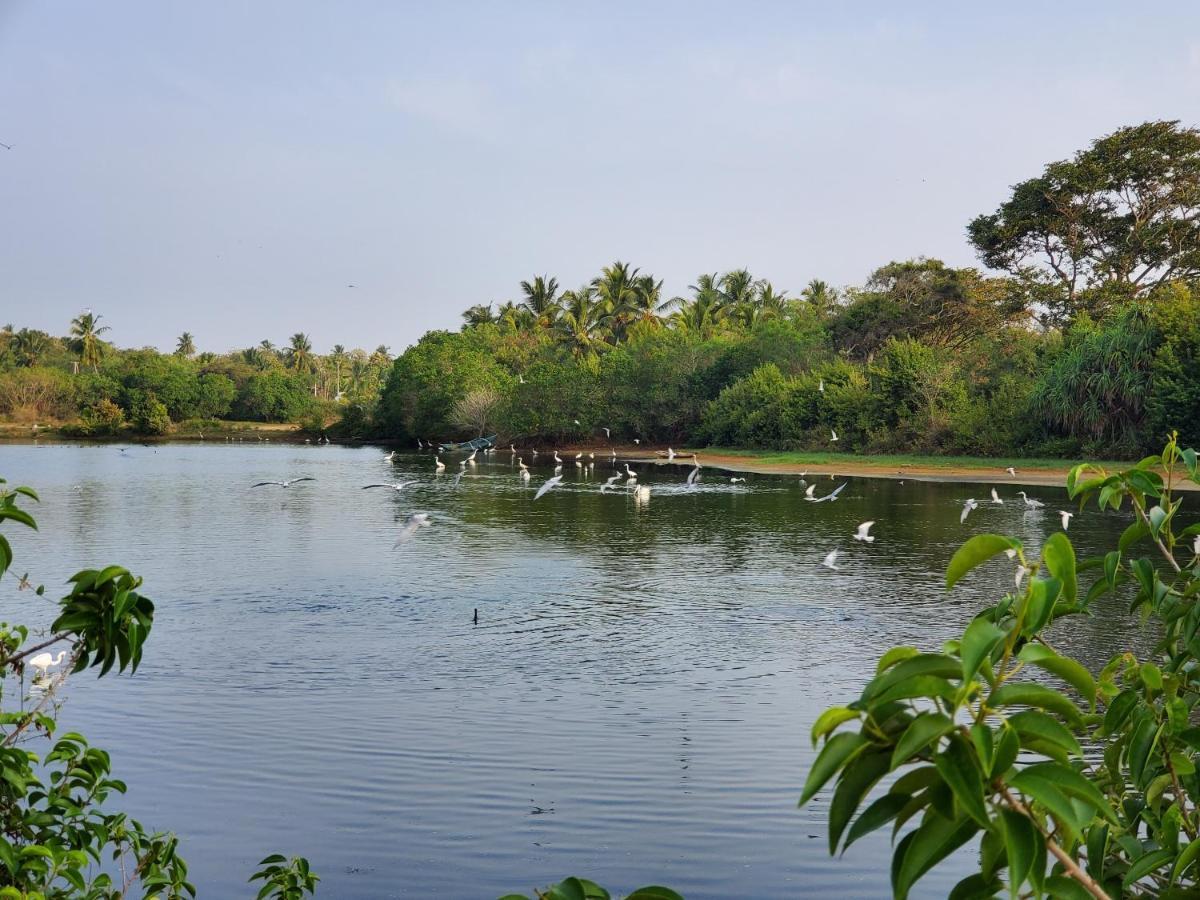 Ceu Ceylon Villa Tangalle Bagian luar foto
